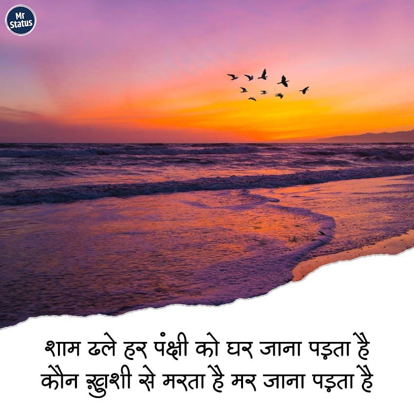 Sad Shayari — Shayari image status