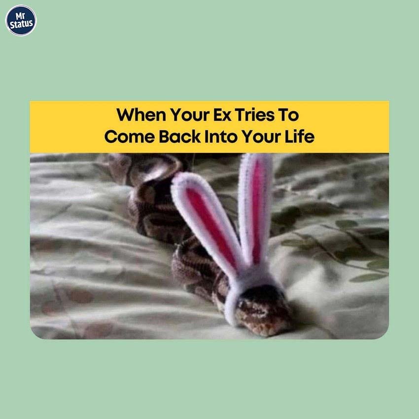 Funny status image #47 — Funny image status