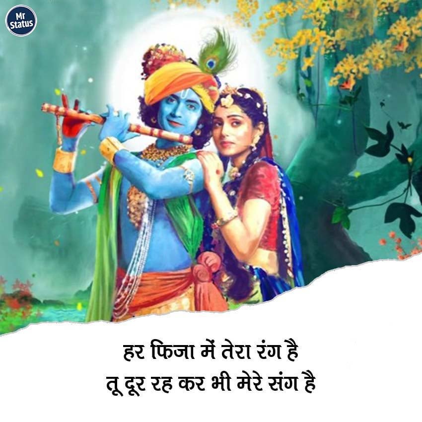 Love Shayari — Shayari image status