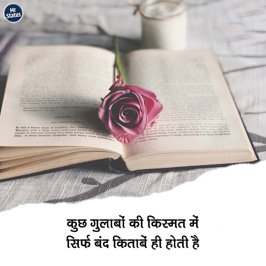 Love Shayari — Shayari image status