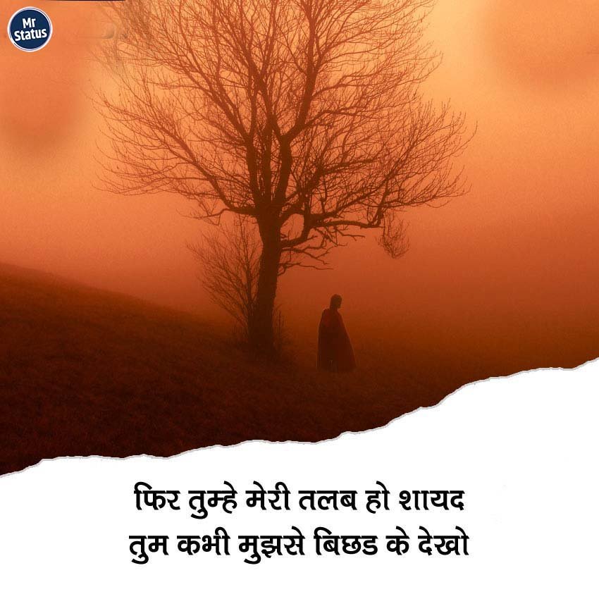Love Shayari — Shayari image status