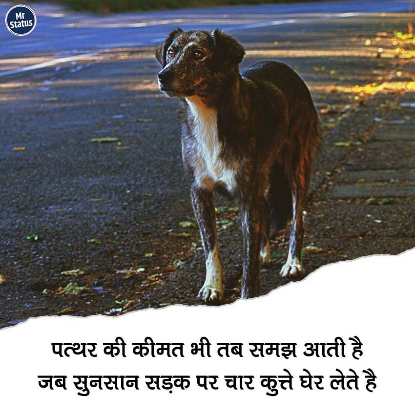 Suvichar — Motivational image status