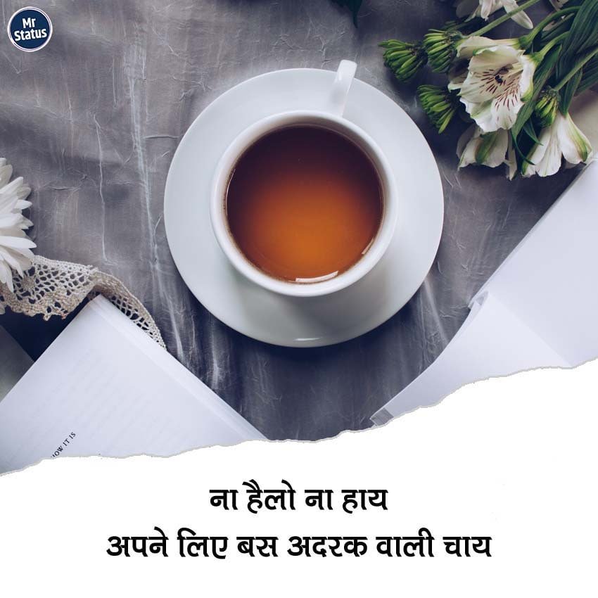 Tea Shayari — Shayari image status