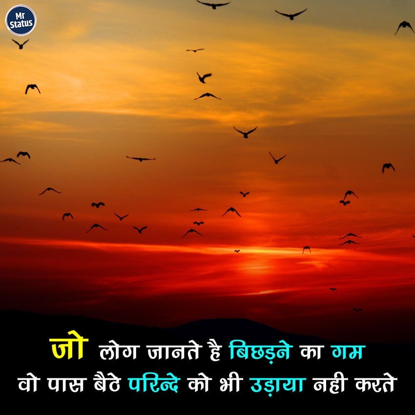 Life Shayari — Shayari image status