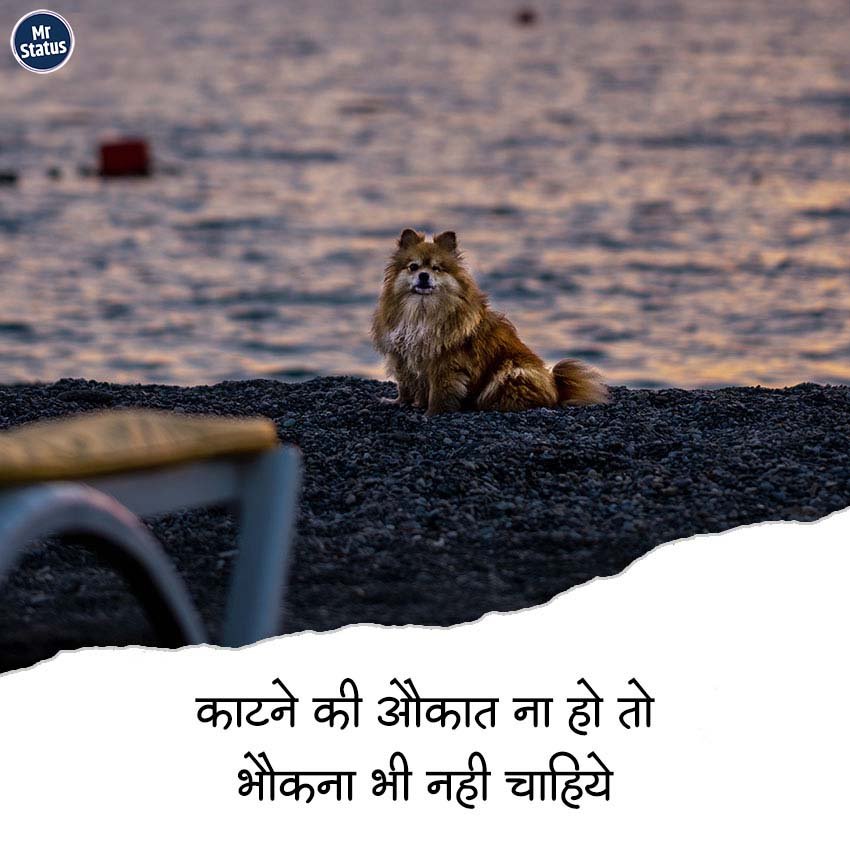 Attitude Shayari — Shayari image status