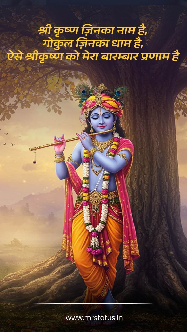 Krishna — Devotional image status