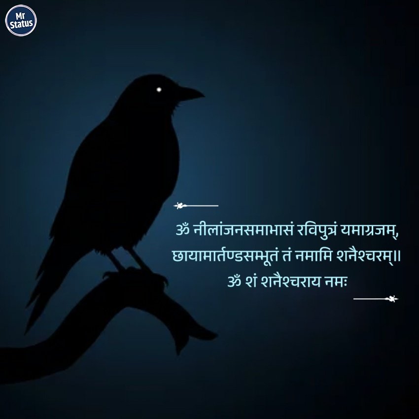 Shani Dev — Devotional image status