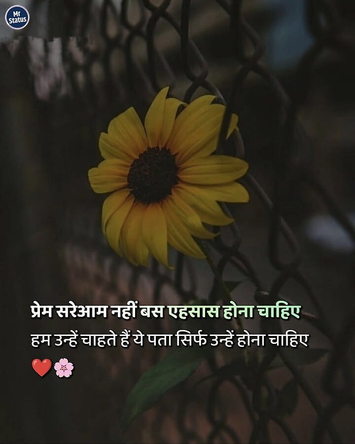 Love Shayari — Shayari image status